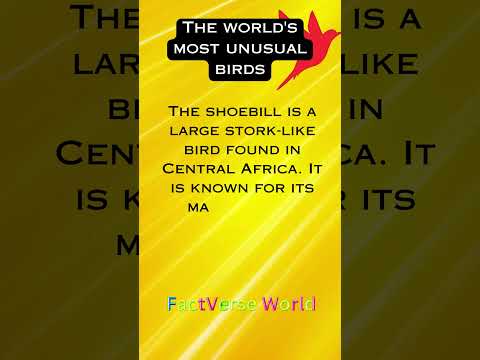 Bird Facts #viralshorts #birds