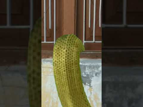 nagin6 New transformation effects 🐍#nagin #nagin6 #ytshorts #youtube #view #transformation
