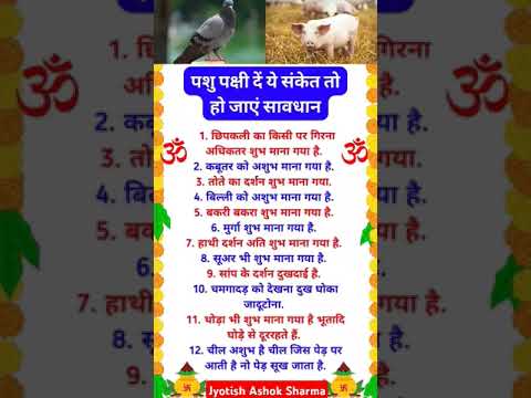 पशु पक्षी के संकेत #vastuupaay #motivation #astrology #jyotishandvastu # Shorts #viral