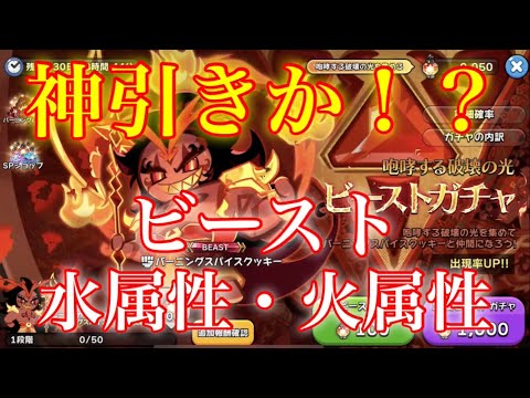 【クッキーランキングダム】バーニングスパイスクッキー狙ってビーストガチャ１００連とリベンジ！水属性・火属性ガチャ１００連引いた結果神引きが！？www【2体目のビーストクッキー】