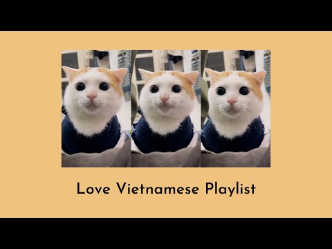 Playlist 2 - Love Vietnamese Playlist | Playlist này iu cậu đó :333