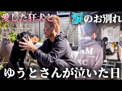 愛犬との別れ【ブレイキングダウンゆうとと狂犬のドキュメンタリー】