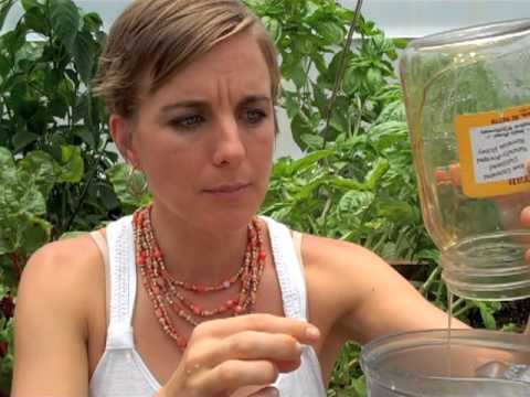 Green Espresso Smoothie