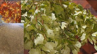 Tasty powder/పుల్ల పుల్లగా కారంకారంగా గోంగూర పొడి