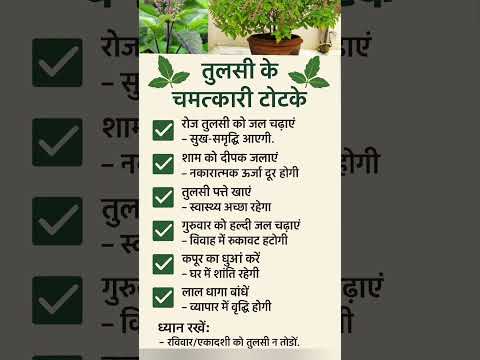 🌿 "तुलसी के चमत्कारी टोटके | घर में सुख-समृद्धि के आसान उपाय" 🌿#totke#shortsfeed#upay#tips #shorts