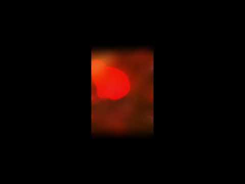 MR RAIN FEAT GEMELLI DIVERSI CANTANO MARY  - SANREMO 2024 SERATA DELLE COVER