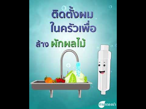 ไส้กรองฝักบัว Shower filter เครื่องกรองน้ำใช้ PURE Charcoal | บ้านกรองน้ำ