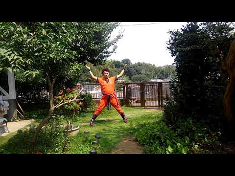 ドラゴンボール実写版界王拳