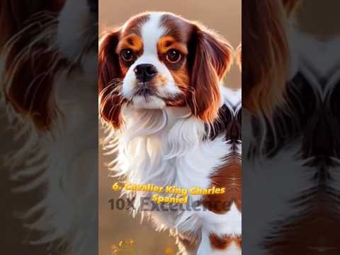"Top 10 Most Adorable and Cute dogs" #shorts #subscribe #doglovers #top10