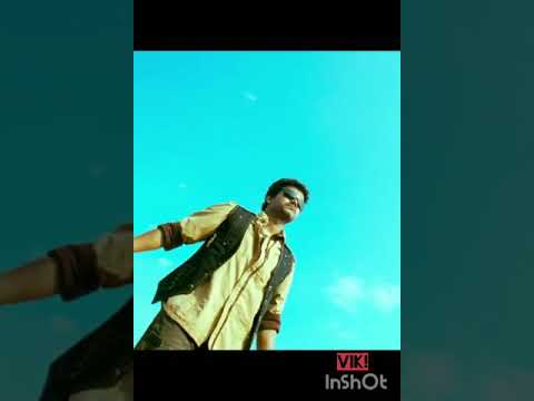 Thalapathy Vijay Birthday WhatsApp status