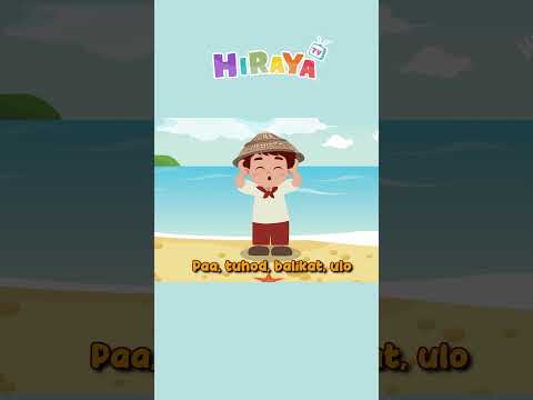 PAA TUHOD BALIKAT ULO -  HIRAYA TV AWITING PAMBATA #shorts #tagalog  #hirayatv #awitingpambata