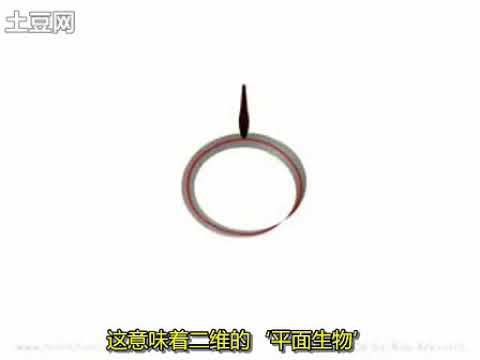 从一维空间到十二维空间 你看得懂吗？ 到4维后就不懂了，高人们来看