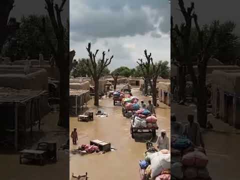 Poor People's Struggles For Survive in Thunderstorm⛈️⛈️⛈️#usa🇺🇸 #uk🇬🇧 #poorpeople #floodinpakistan