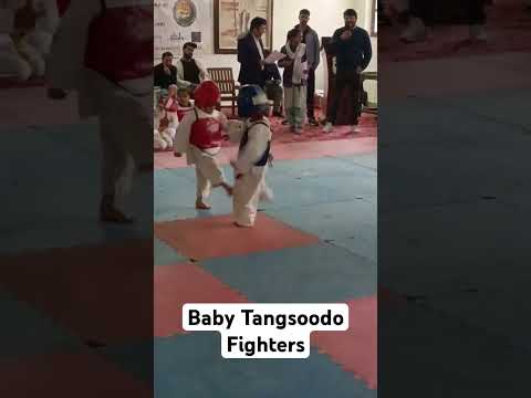 Baby Tangsoodo Fighters in 15th National Tandsoodo Championship 2025 #baby #sonipat #taekwondo