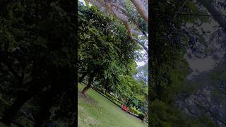 natural ✨#shortvideo #viralshorts #youtubegaming #jualpubgmobile #jualpubg #love #youtubesubscribers