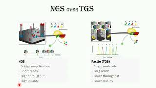 The Power of Genomics: NGS Data Analysis and Its Importance (Webinar Clip2)