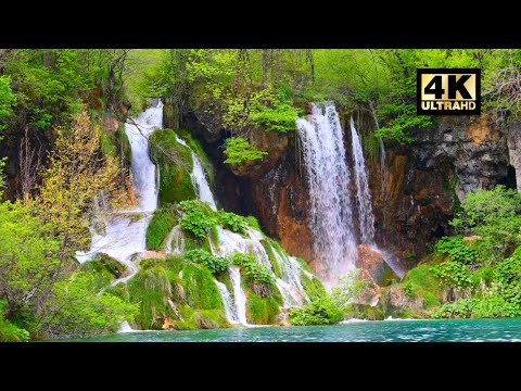 1 hour of Relaxing NATURE sound for Sleeping - Natural Calm Forest Waterfall Music Meditation 4K