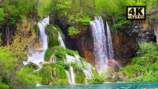 1 hour of Relaxing NATURE sound for Sleeping - Natural Calm Forest Waterfall Music Meditation 4K
