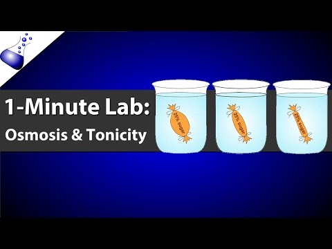 Osmosis and Tonicity