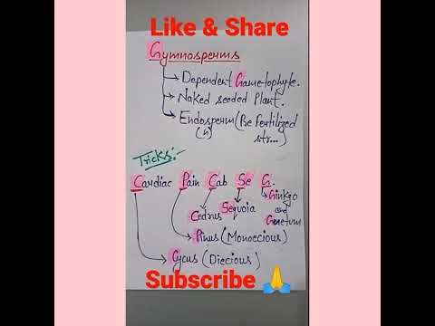 gymnosperms examples trick || plant kingdom|| #neetug