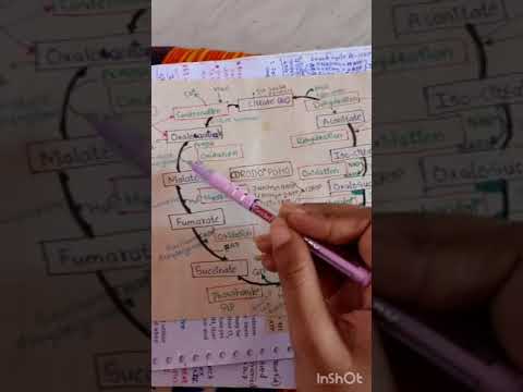 kreb cycle Tricks| respiration| biology |class 11th| NEET |#neet #tricks #ncert