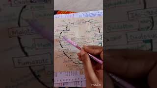 kreb cycle Tricks| respiration| biology |class 11th| NEET |#neet #tricks #ncert