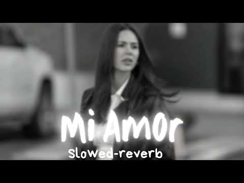 NI GABRU NU BILO KERE CHAKRA CH PAYA(Mi Amor)|| Slowed-reverb