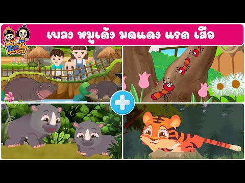 เพลง หมูเด้ง มดแดง แรด เสือ เพลงเด็กคิดส์มีซอง 2568 | KidsMeSong