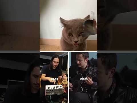 Cat sings #music #guitar #musica #duet #cat Cheers to the original video. #shorts