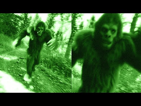 Chilling Bigfoot Encounter With An Experienced Survivalist In Appalachian Mountains Wilderness!