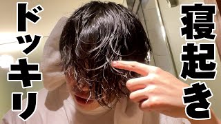 #305【Yonino's trip!!】The day the king was slow to react (w/English Subtitles!)
