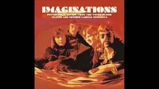 Various – Imaginations Psychedelic Sounds From The Young Blood, Beacon & Mother Labels, 1969-1974 LP