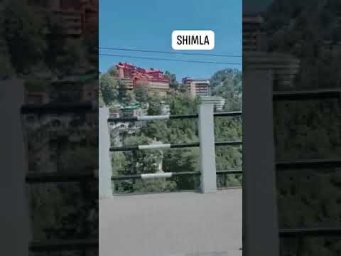 #naturelovers #shimla #travel #shimlatour
