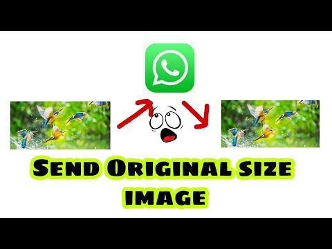 Send original size image on WhatsApp || 100% original size images