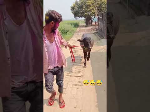 #shortvideo #6vlog #vairalvideo #shorts #share #vlogs #shortsvideo #video #share