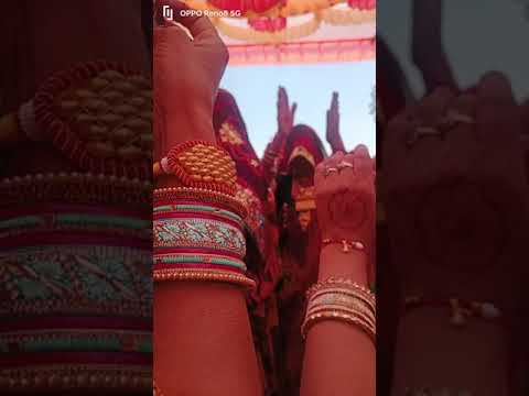 DJ Walo Gano Laga Shadi Ko #dj #dance #trending #rajasthani #popular #newsong #shorts #viralvideo