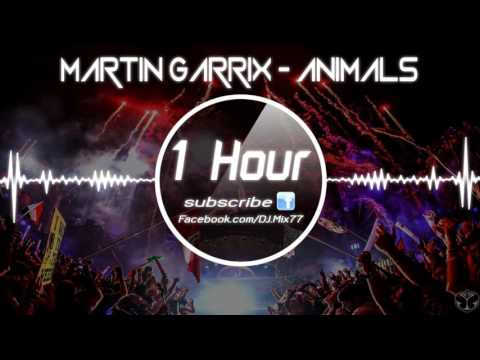 Martin Garrix   Animals