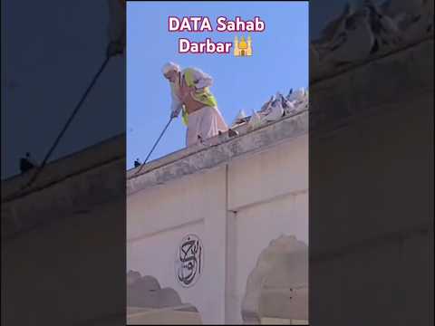 Data darbar#viralvlog # shorts #ytshorts