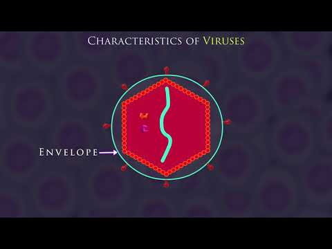 What are Viruses?