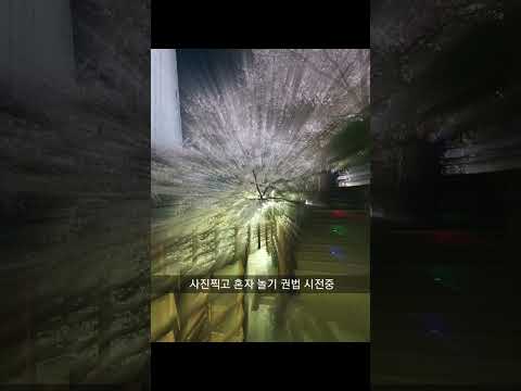 돼지루틴 먹고 바로잔 후... 남은건 후회뿐  #브이로그  #후회 #운동 #산책