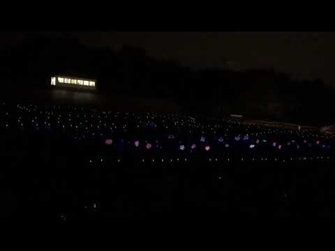 2018-2019 Jackson High School Purple Army Marching Band Blacklight Show!!!