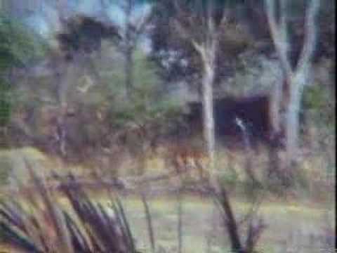 Gene and Carola Gough World Travels : Part 7