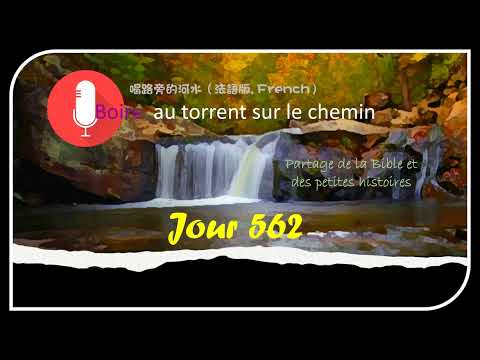 【Boire au torrent sur le chemin】：Jour 562（French）