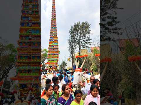 Historic Moment at Huskur Jatre 2025! 🚩 | First time Ever 204Feet World's Tallest Gattahalli Chariot