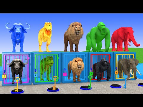 Long Slide Game With Cow Elephant Gorilla Hippopotamus Tiger - 3d Animal Game - Funny 3d Animals