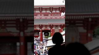 Shrine #shorts #temple #japanesetemple #japan #viral #shortvideo #japantravel #japanvlog #newshorts