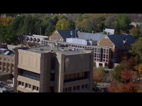 Pride and Prejudice - House MD (trailer)