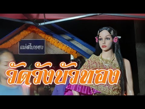 ไลฟ์สดแม่สไบทอง วัดวังบัวทองปราจีนบุรี