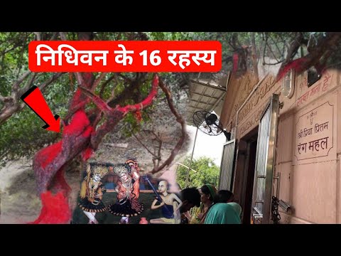 16 interesting facts about Nidhivan, Vrindavan | निधिवन के 16 रहस्य | Best attraction of Vrindavan