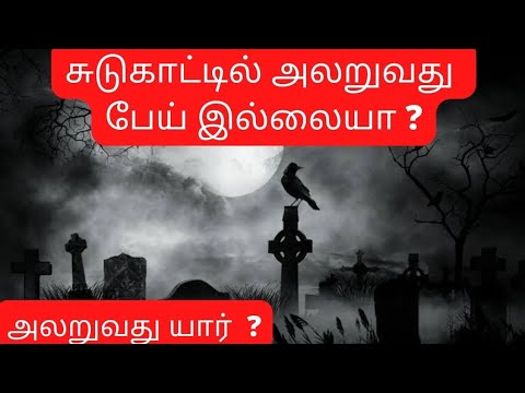 சுடுகாட்டில் அலறுவது பேய் இல்லையா அலறுவது எது ?|Kabar bijju #tamil